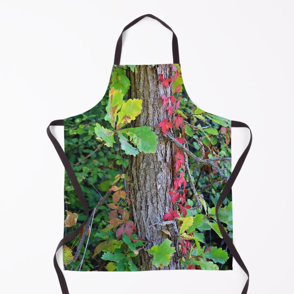 Item preview, Fall Colors on the Leaves and Vines designed and sold by Martha Sherman.