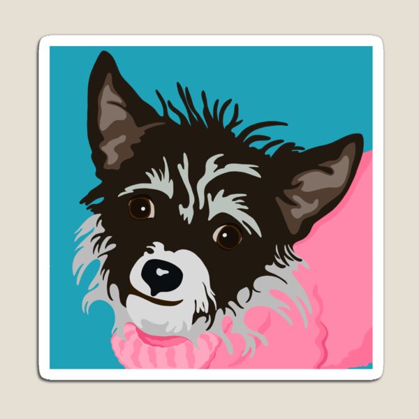 Dog in Pink Sweater Magnet