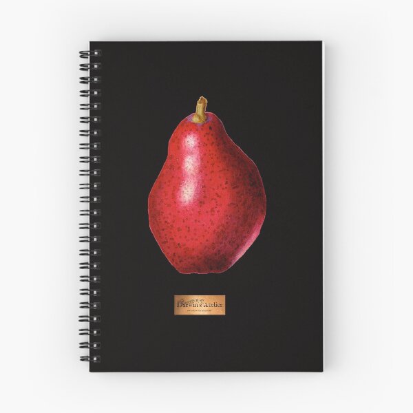 Item preview, Pyrus Communis (Red Pear) designed and sold by DarwinsAtelier.