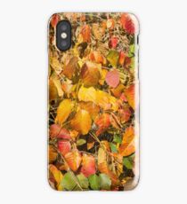Autumn's Paint Brush iPhone Case