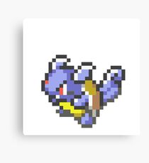 Wartortle Canvas Print