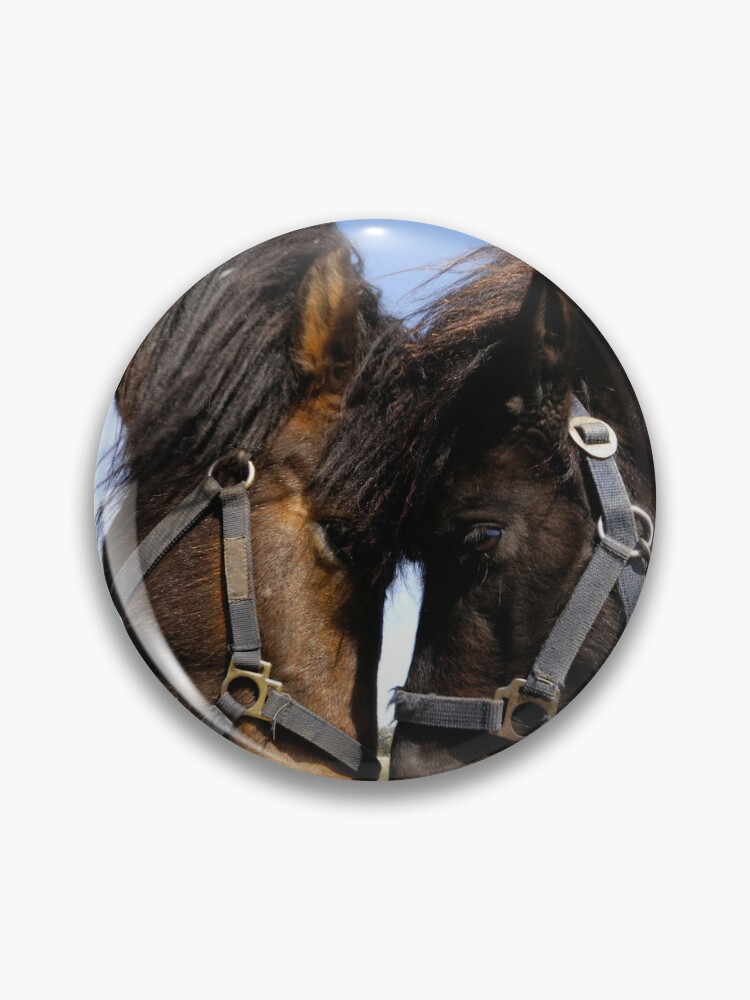 Pin on Horse- Gear