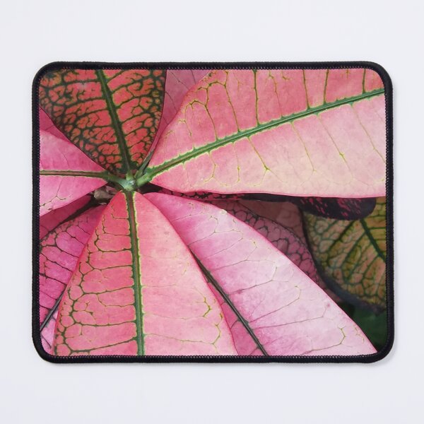 Item preview, Leafy Pink Croton designed and sold by Betty Mackey.