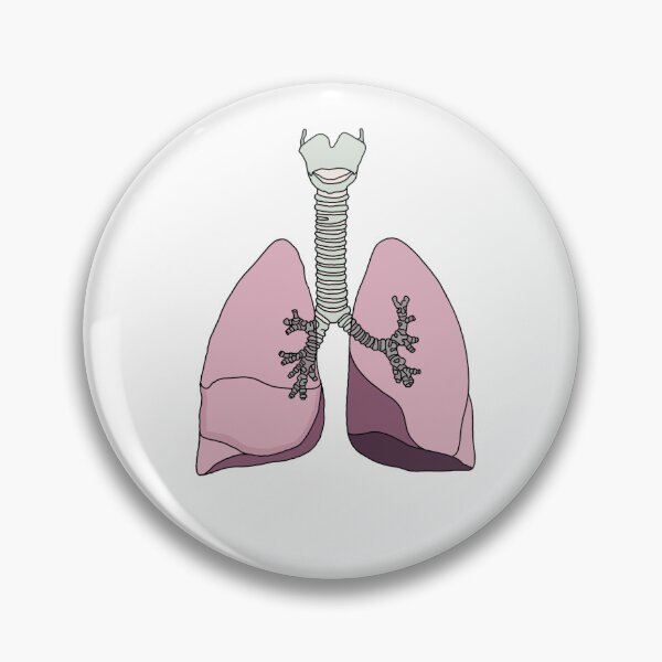 Item preview, Lung: Human respiratory system designed and sold by bluebubbleberry.