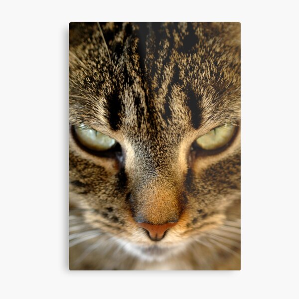 Item preview, Stare designed and sold by grugster.