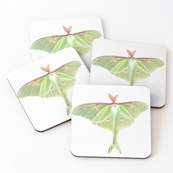 Item preview, Luna Moth designed and sold by curiocabinets.