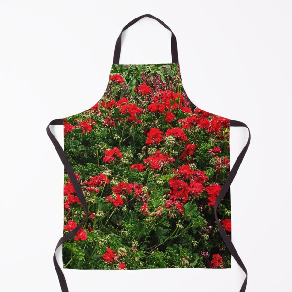 Item preview, The Botanical Building and Pond in Balboa Park, San Diego designed and sold by heatherfriedman.