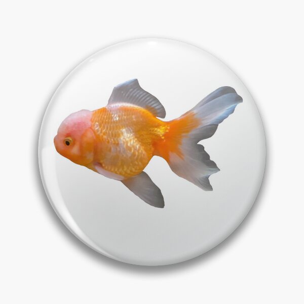 Item preview, Oranda Goldfish designed and sold by curiocabinets.