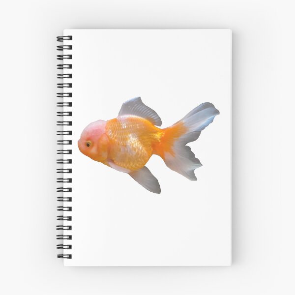 Item preview, Oranda Goldfish designed and sold by curiocabinets.