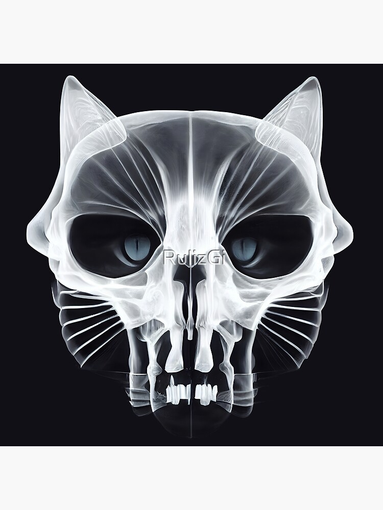 "Skeleton of a cat skull in xrays." Poster for Sale by RulizGi Redbubble