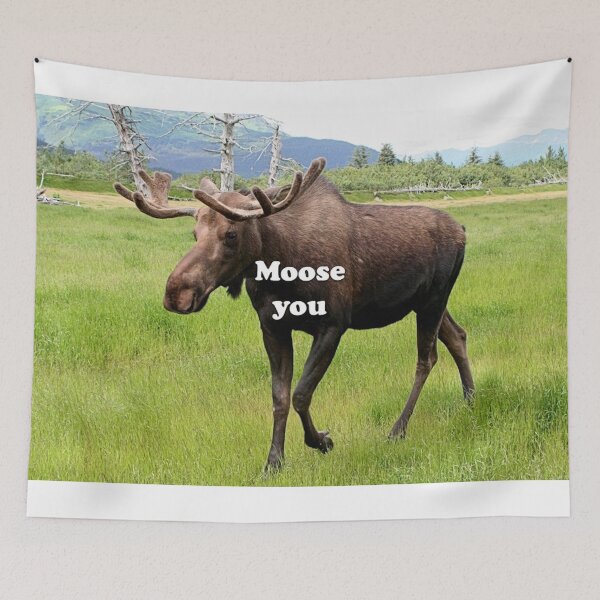 Item preview, Moose you: Alaskan moose designed and sold by FranWest.