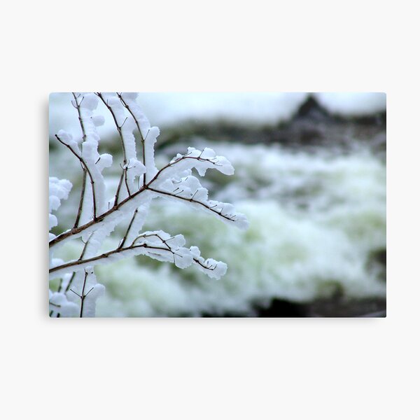 Ice Cold Metal Print