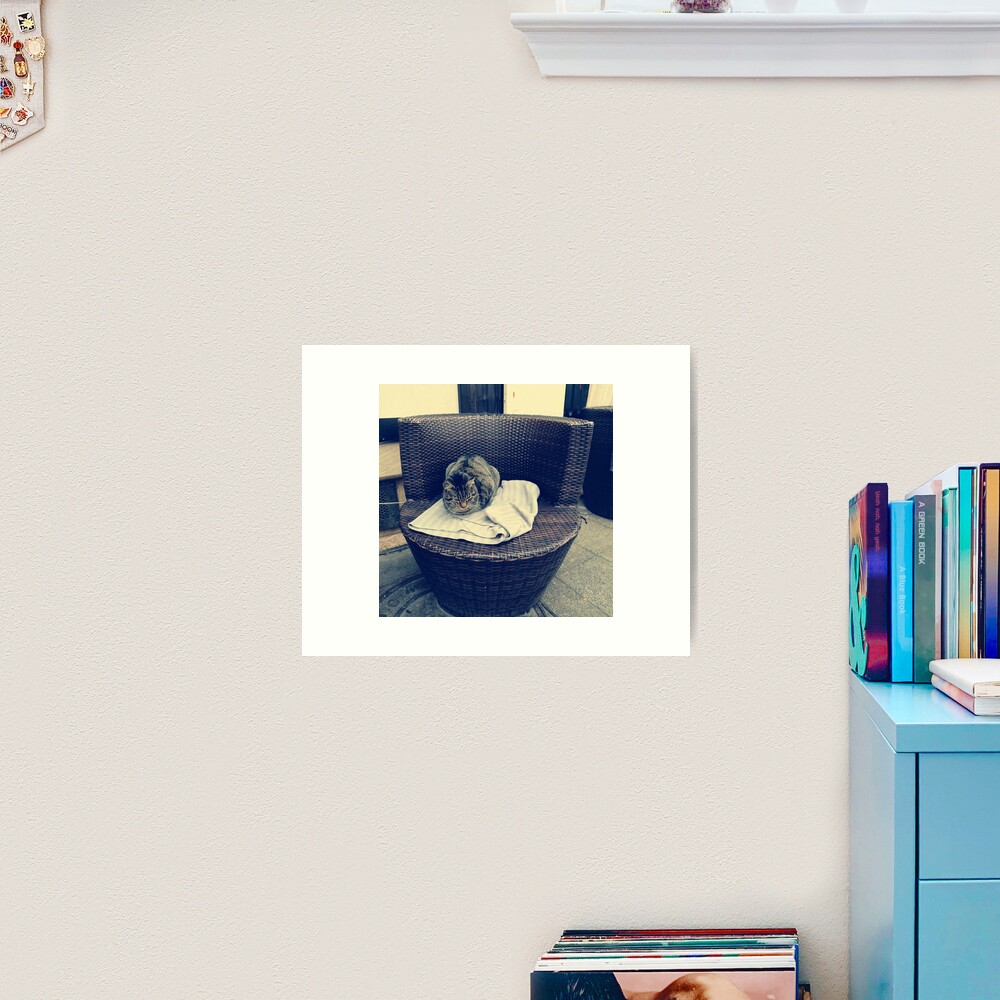 Relaxed kitten; lounging cat; the local kitten, house cat Art Print