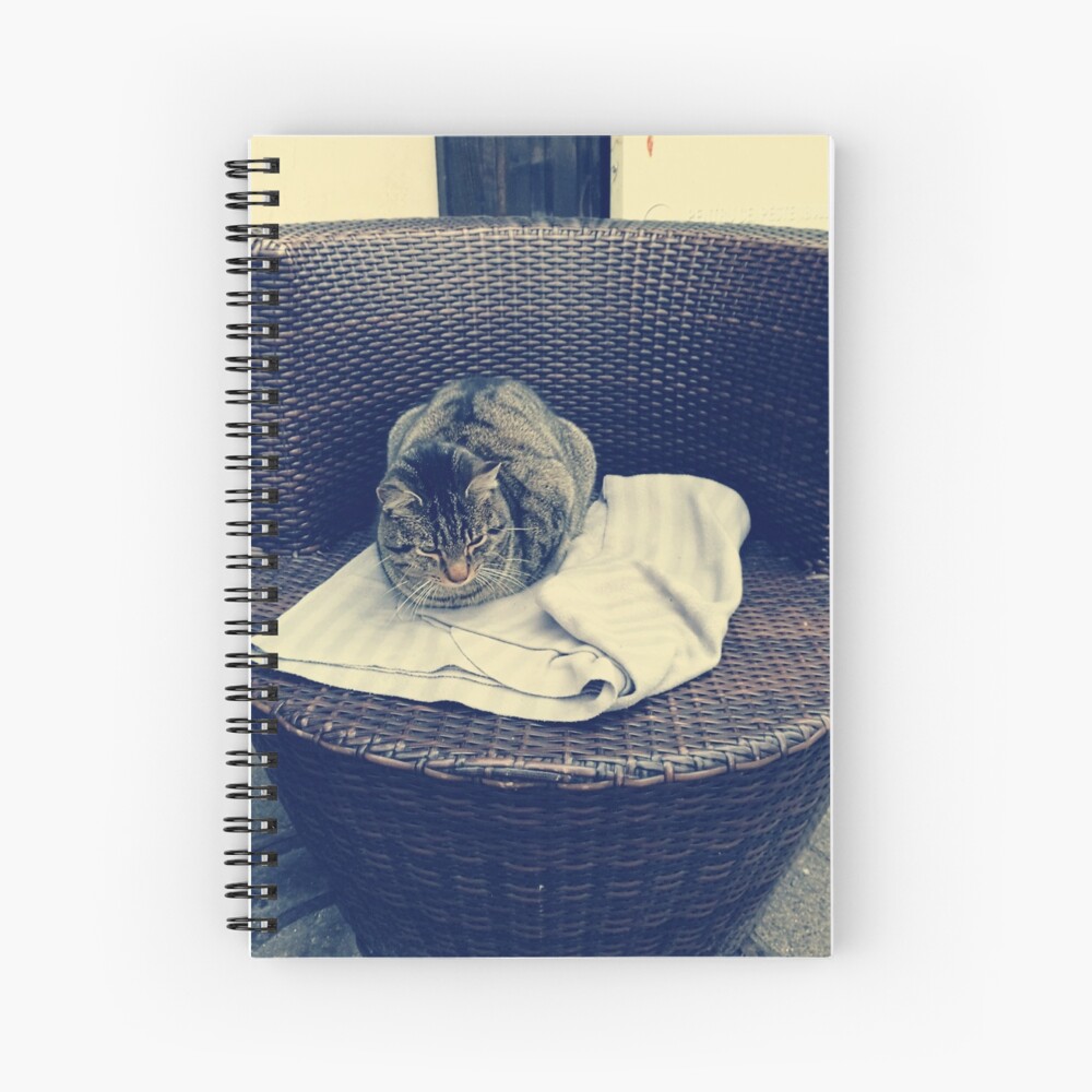 Relaxed kitten; lounging cat; the local kitten, house cat Spiral Notebook