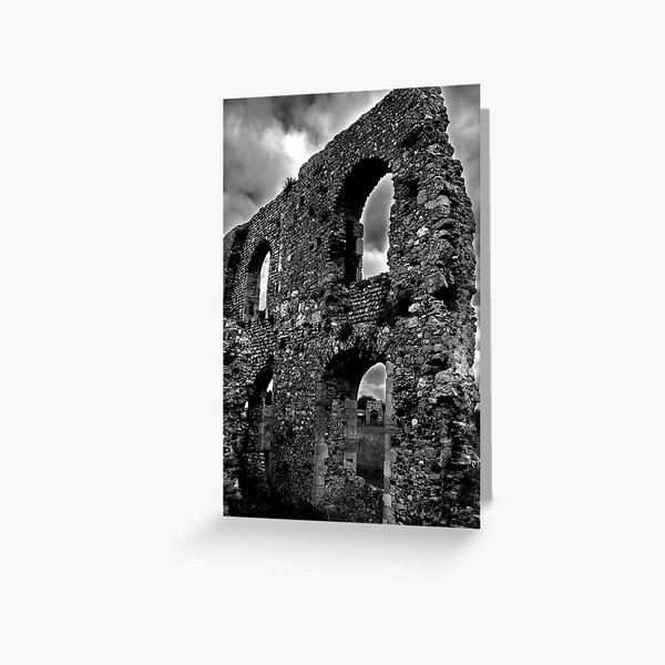 here there be ruins! Greeting Card