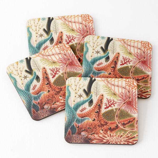 Item preview, Great Barrier Reef Echinoderms from The Great Barrier Reef of Australia by William Saville-Kent designed and sold by InHerits.