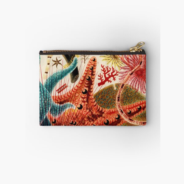 Item preview, Great Barrier Reef Echinoderms from The Great Barrier Reef of Australia by William Saville-Kent designed and sold by InHerits.