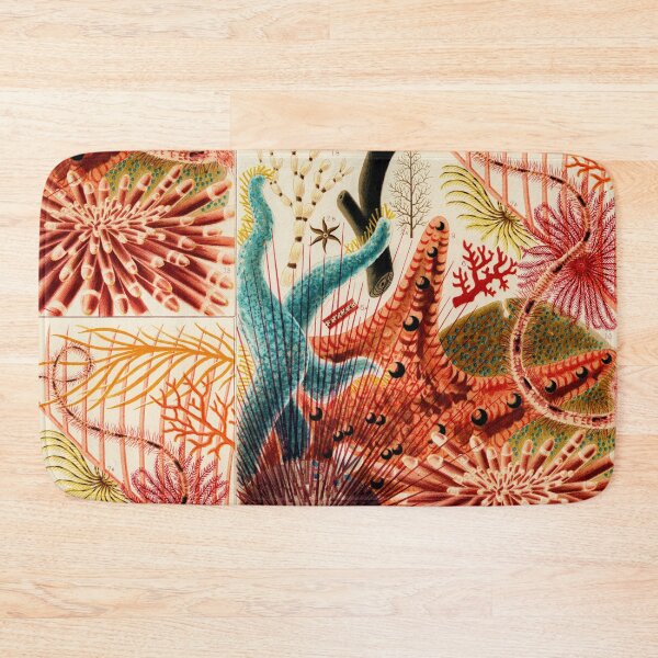 Item preview, Great Barrier Reef Echinoderms from The Great Barrier Reef of Australia by William Saville-Kent designed and sold by InHerits.