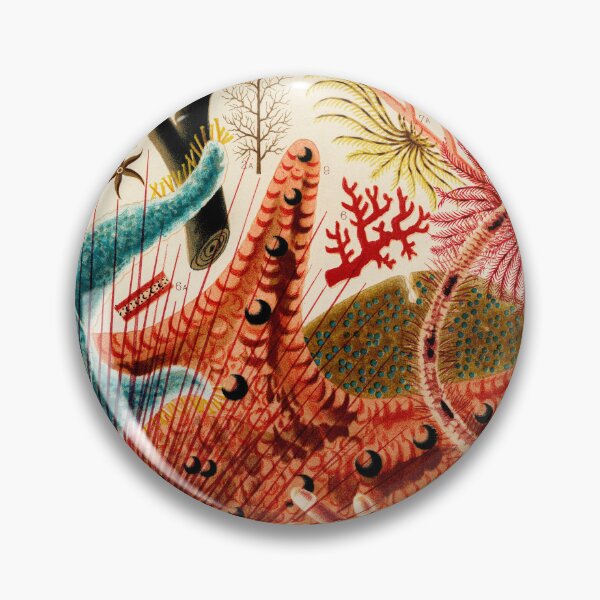 Item preview, Great Barrier Reef Echinoderms from The Great Barrier Reef of Australia by William Saville-Kent designed and sold by InHerits.