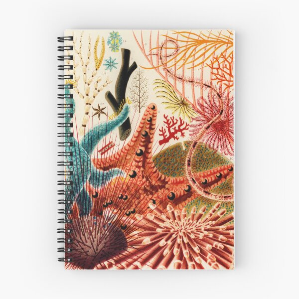 Item preview, Great Barrier Reef Echinoderms from The Great Barrier Reef of Australia by William Saville-Kent designed and sold by InHerits.
