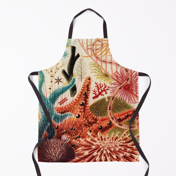 Item preview, Great Barrier Reef Echinoderms from The Great Barrier Reef of Australia by William Saville-Kent designed and sold by InHerits.