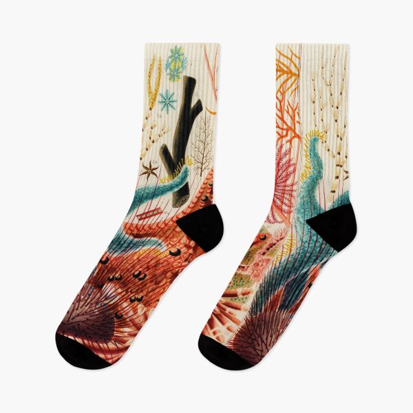 Item preview, Great Barrier Reef Echinoderms from The Great Barrier Reef of Australia by William Saville-Kent designed and sold by InHerits.