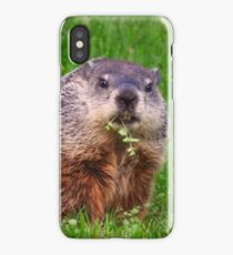 Groundhog iPhone Case