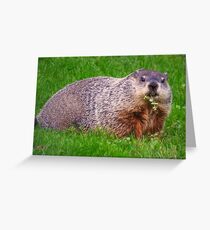 Groundhog Greeting Card