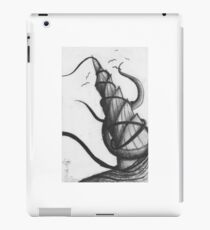 Spiral iPad Case/Skin