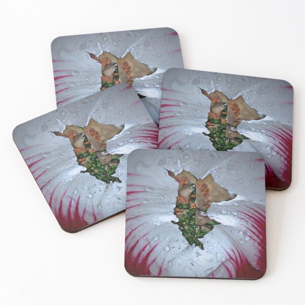 Artikelvorschau, Blumenauge Hibiskus entworfen und verkauft von AdioraStore.