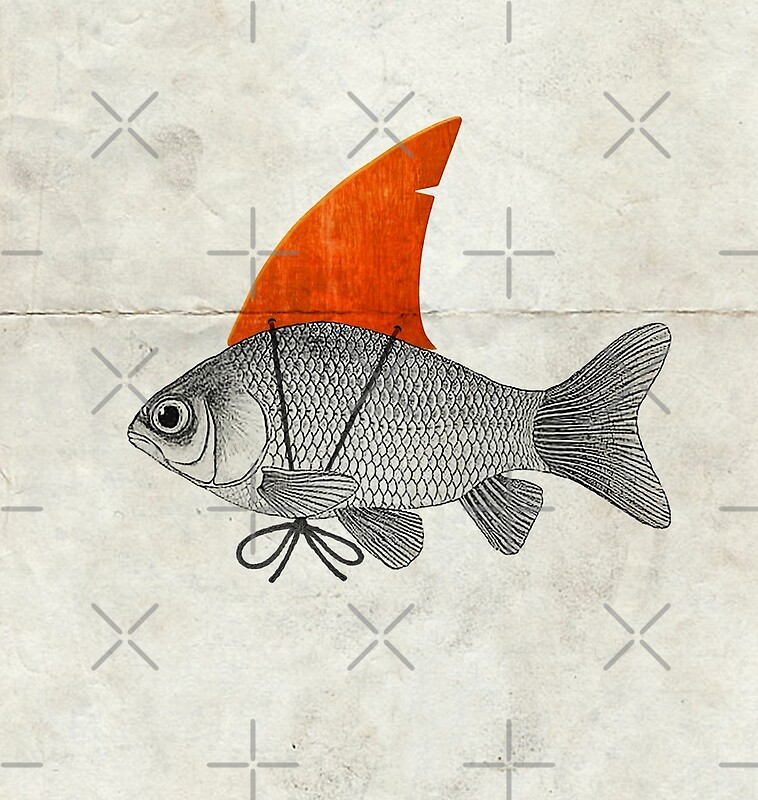 "Goldfish with a Shark Fin" by Vin Zzep Redbubble
