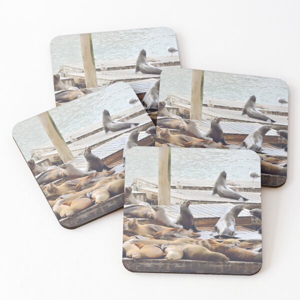 Item preview, Sea Lions in Historic Pier of San Francisco - Wildlife Photography designed and sold by CarolinaReina.