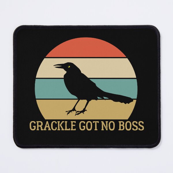Item preview, grackle got no boss - AUSTIN WEIRD BIRD designed and sold by Raiko-art.