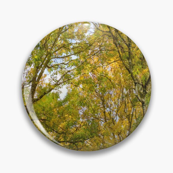Artikelvorschau, Herbstblätter entworfen und verkauft von Dave Hare Photography.