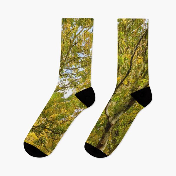 Item preview, Autumn Leaves designed and sold by Dave Hare Photography.