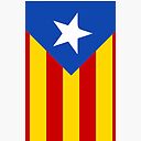 Catalonia Flag Iphone Case Cover By Sago Design Redbubble
