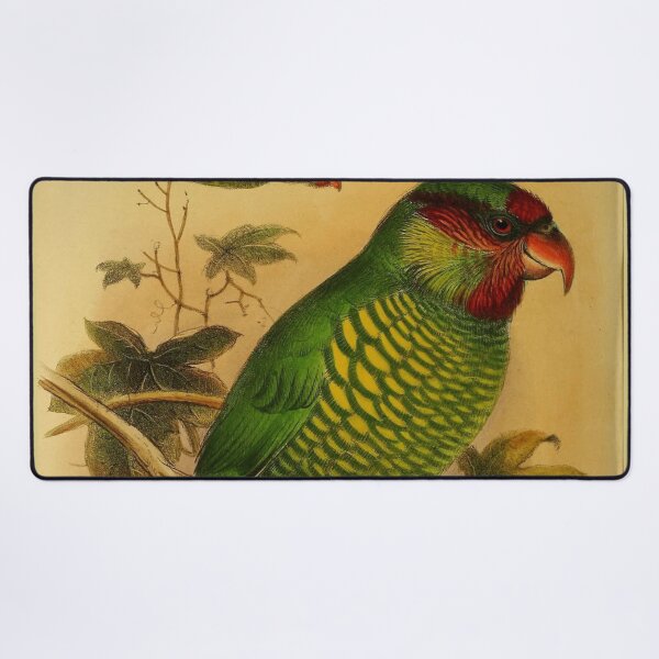 Item preview, The Rainbow Lorikeet Of Australia designed and sold by laguitan10.