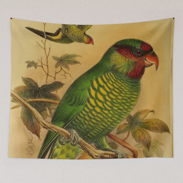 Item preview, The Rainbow Lorikeet Of Australia designed and sold by laguitan10.