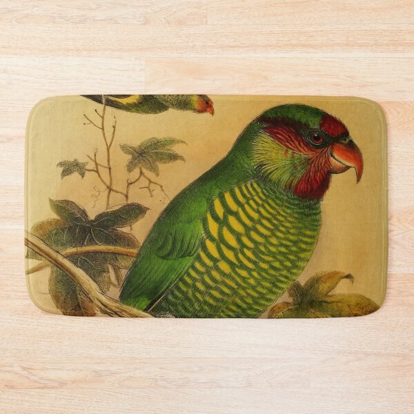Item preview, The Rainbow Lorikeet Of Australia designed and sold by laguitan10.