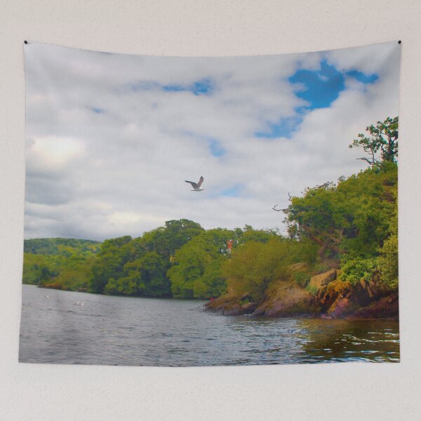 Item preview, Seagulls Building Nest in the Lake District designed and sold by BritishYank.