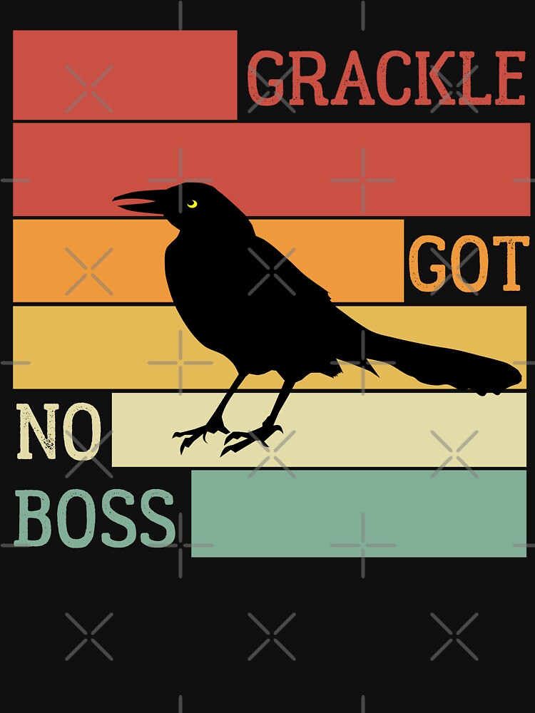 grackle got no boss AUSTIN WEIRD BIRD Essential T-Shirt for