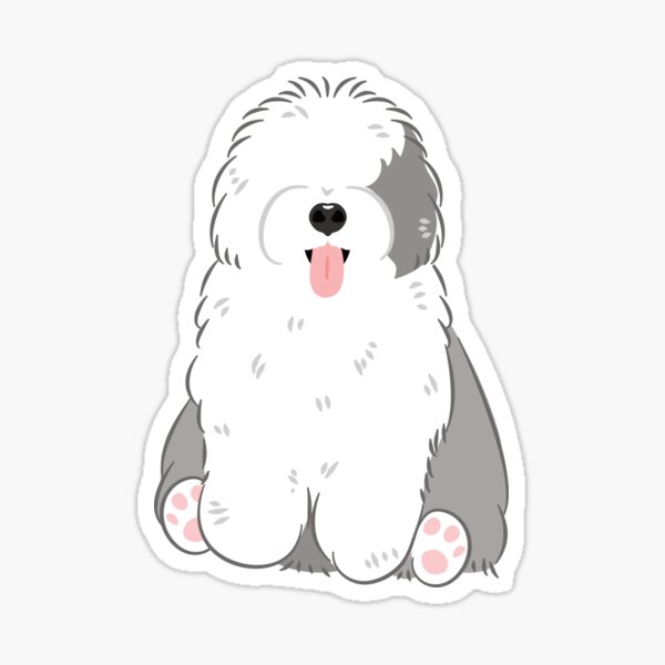 Viejo Pastor Ingles  English sheepdog, Old english sheepdog