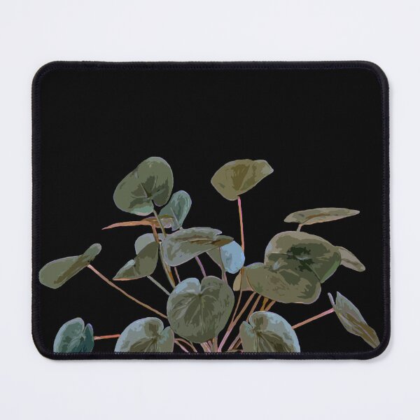 Artikelvorschau, Pilea Pflanze in schwarz entworfen und verkauft von beamorello.