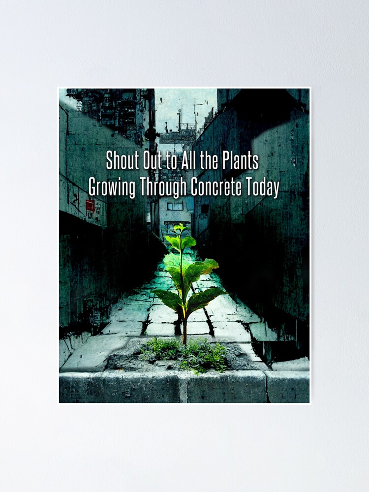 “Plant Growing Through Concrete 2: Shout Out to All the Plants Growing