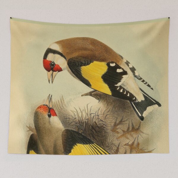 Item preview, Two Himalayan Goldfinches Talking designed and sold by laguitan10.