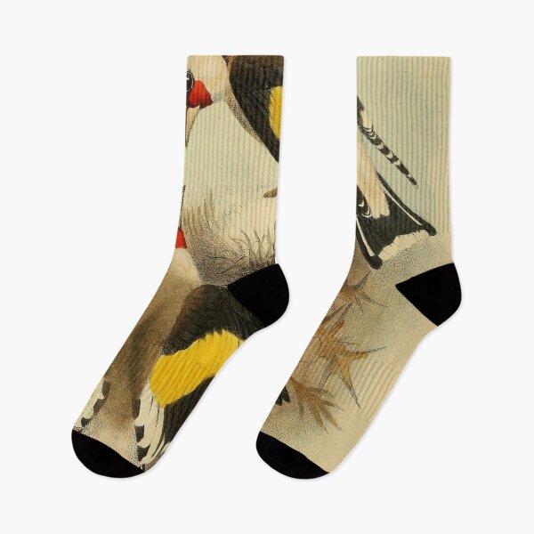 Item preview, Two Himalayan Goldfinches Talking designed and sold by laguitan10.