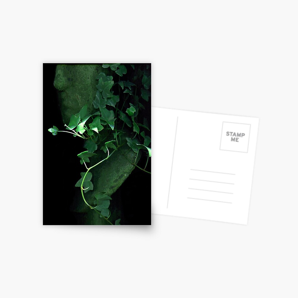 Item preview, Postcard designed and sold by LindasPhotoArt.