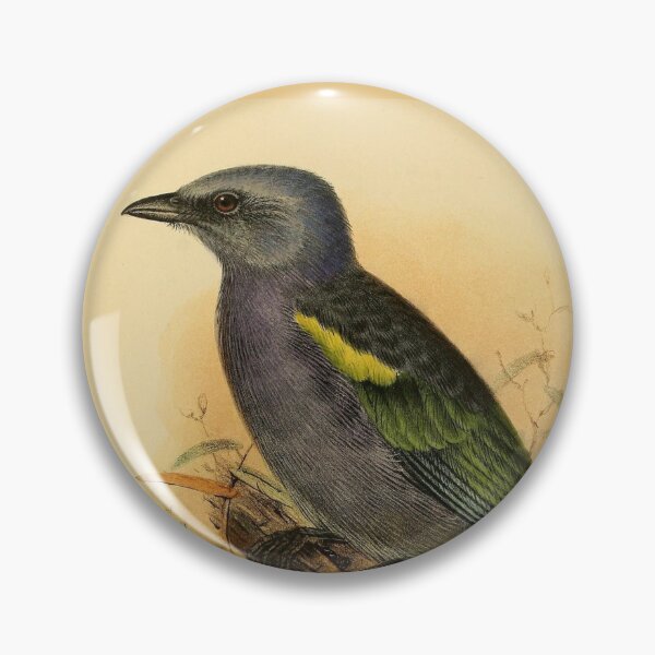 Item preview, Golden Chevroned Tanager Of Brazil designed and sold by laguitan10.