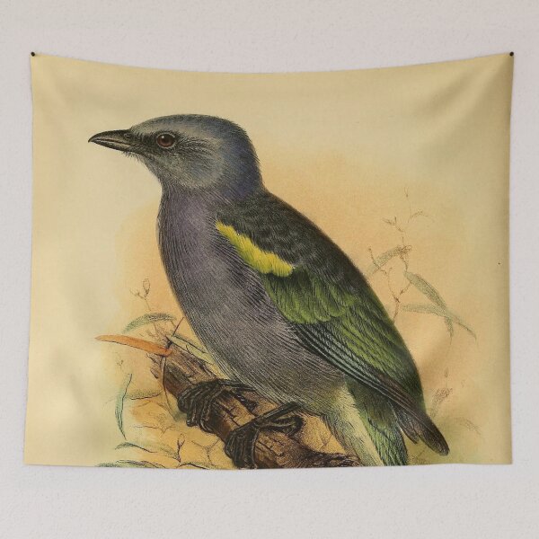 Item preview, Golden Chevroned Tanager Of Brazil designed and sold by laguitan10.