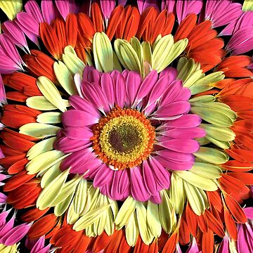 Artwork thumbnail, Daisy Tie-Dye Dark Floral by LindasPhotoArt